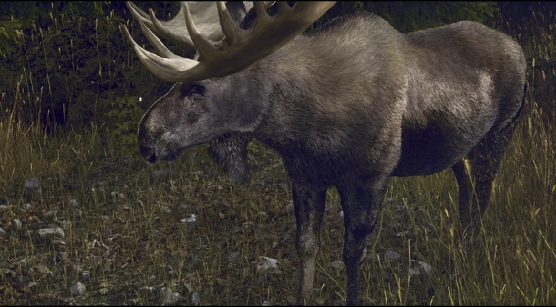 hunterslegacy